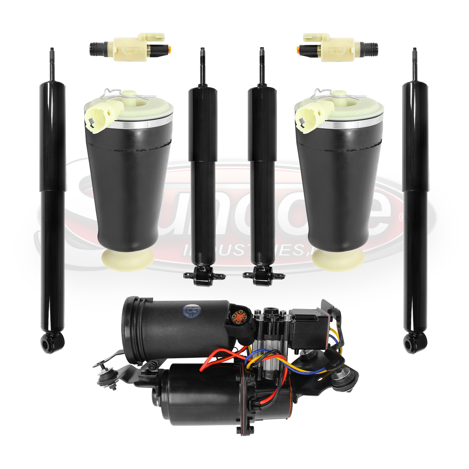 Air Suspension Air Springs with Gas Shocks, Air Compressor and Solenoid Valves Kit - Lincoln Town Car Limo