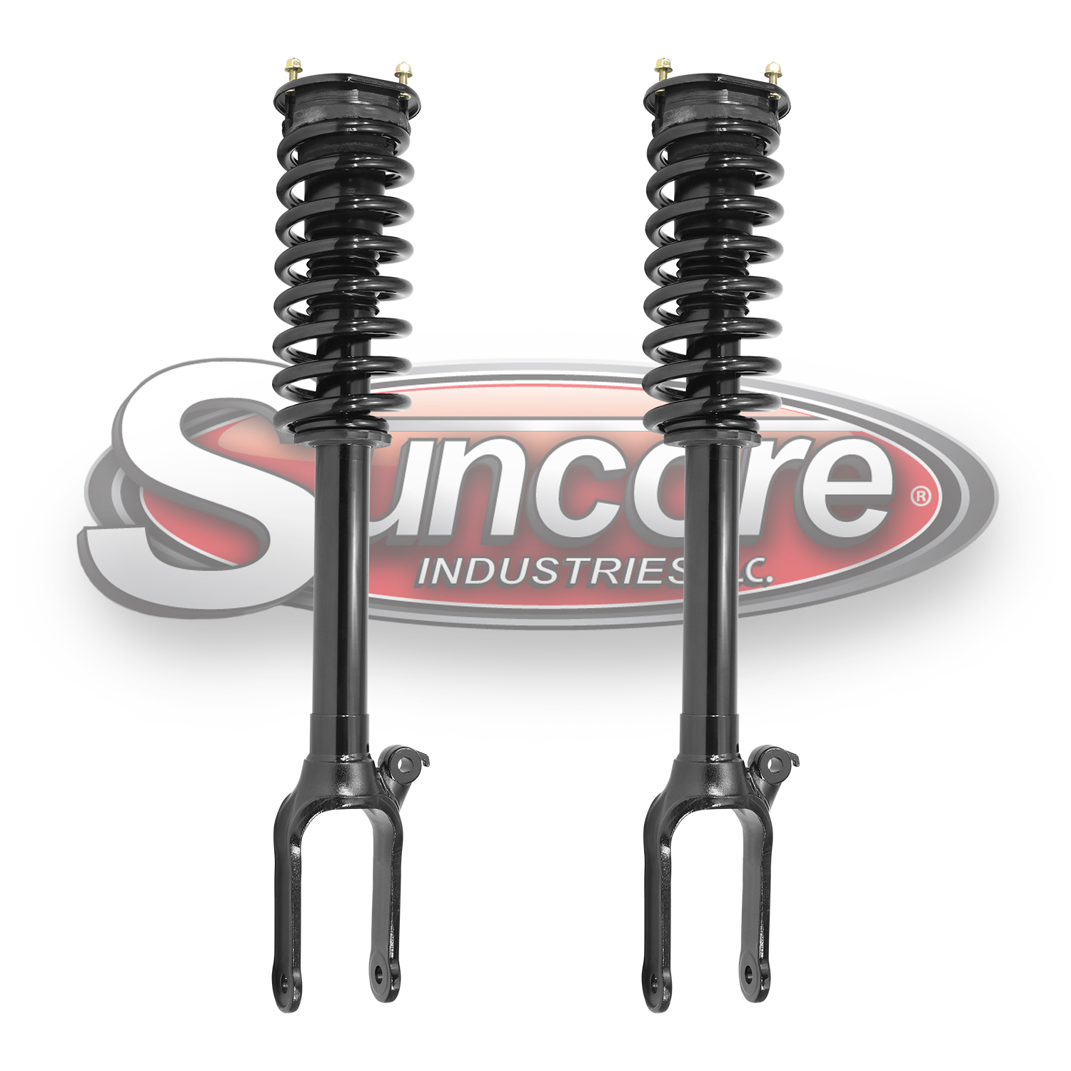 Front Airmatic Suspension to Complete Struts & Coil Springs Conversion Kit - Mercedes R320 R350 R500 W251