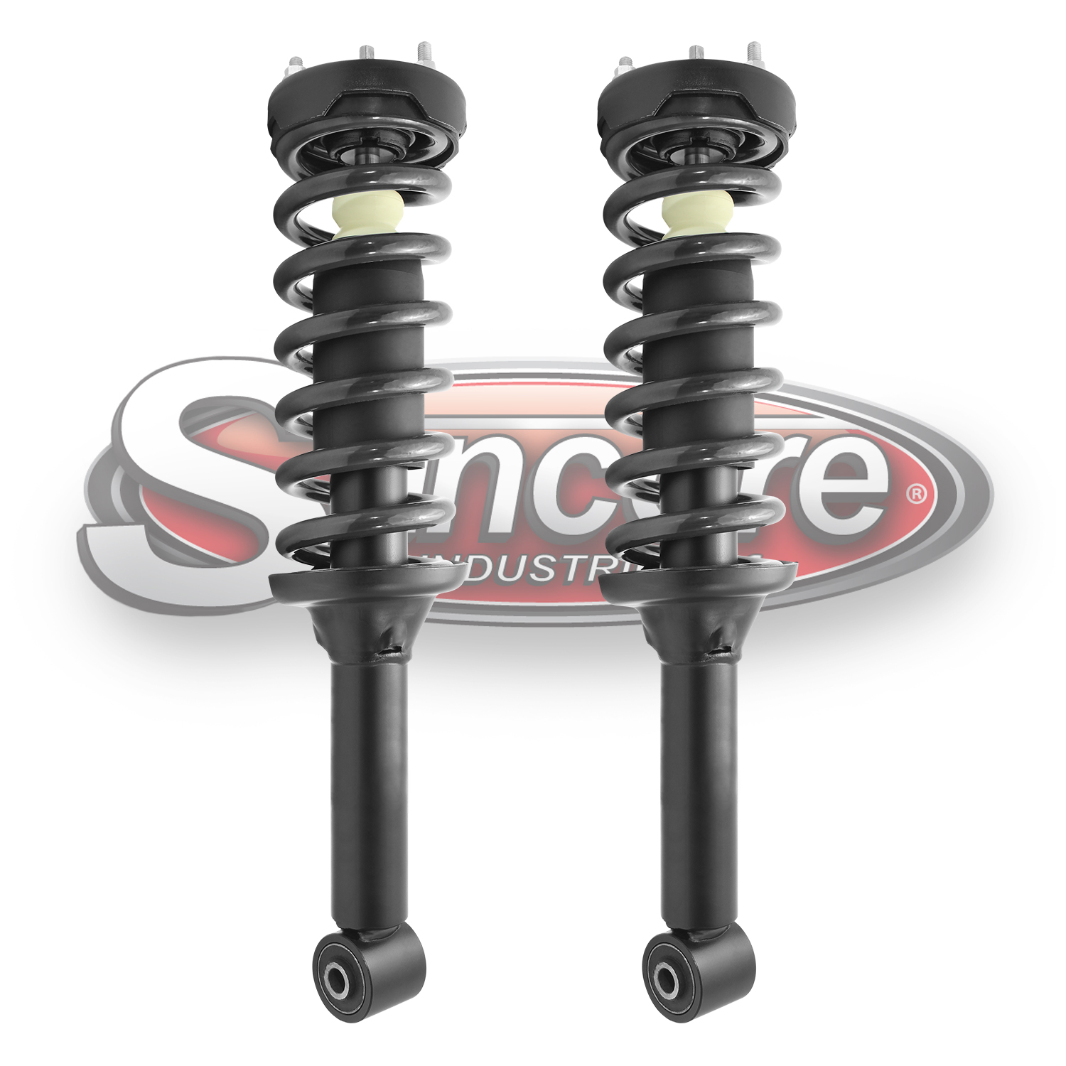 Front Air Ride Suspension to Complete Struts & Coil Spring Assemblies Conversion Kit for Land Rover