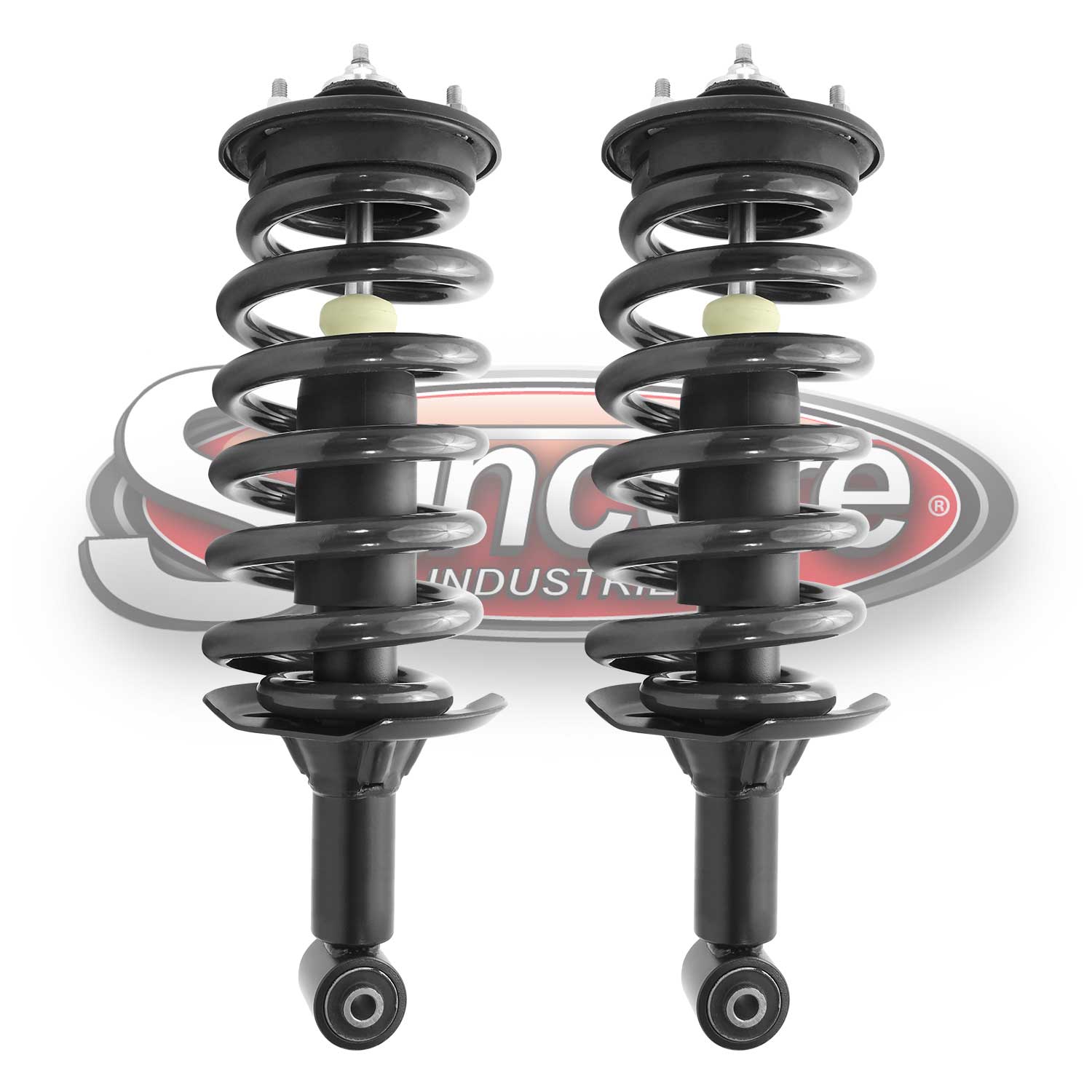 Rear Air Ride Suspension to Complete Struts & Coil Spring Assemblies Conversion Kit for Land Rover